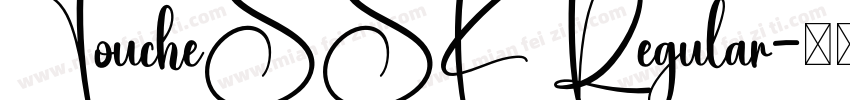 ToucheSSK Regular字体转换